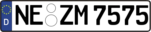 NE-ZM7575