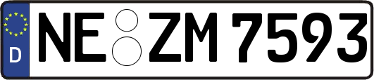 NE-ZM7593