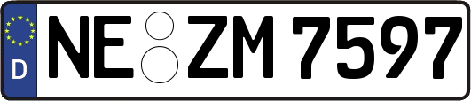 NE-ZM7597