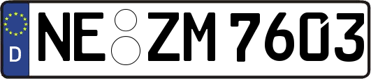 NE-ZM7603