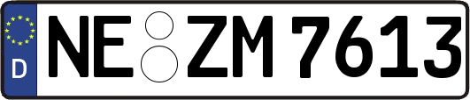 NE-ZM7613