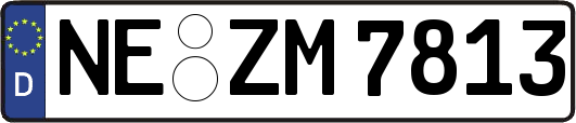 NE-ZM7813