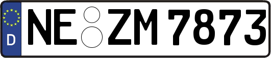 NE-ZM7873