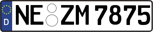 NE-ZM7875