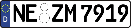 NE-ZM7919