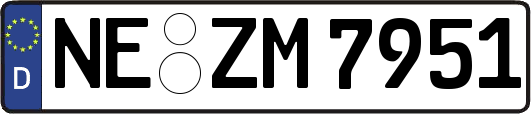 NE-ZM7951