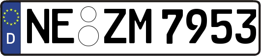 NE-ZM7953
