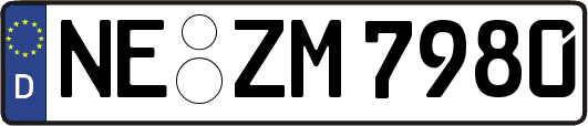 NE-ZM7980