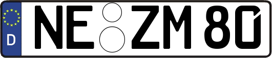 NE-ZM80