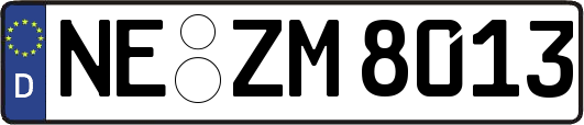 NE-ZM8013