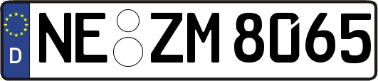 NE-ZM8065