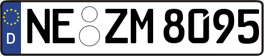 NE-ZM8095