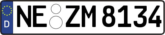 NE-ZM8134