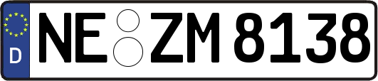 NE-ZM8138