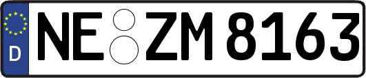 NE-ZM8163