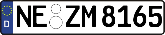 NE-ZM8165