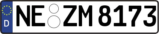 NE-ZM8173