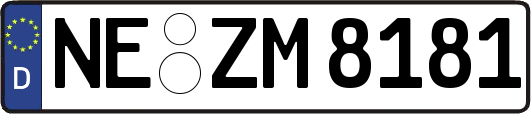 NE-ZM8181