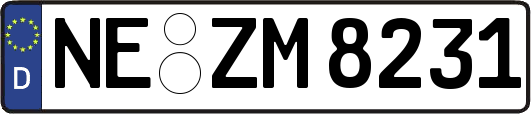 NE-ZM8231