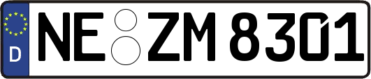 NE-ZM8301