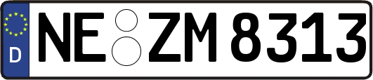 NE-ZM8313