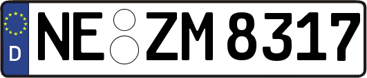 NE-ZM8317