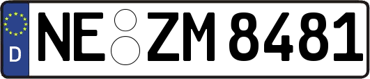 NE-ZM8481