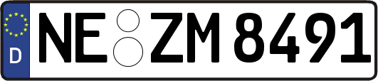 NE-ZM8491
