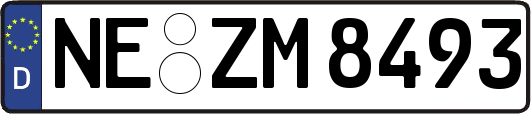 NE-ZM8493