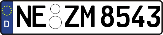 NE-ZM8543