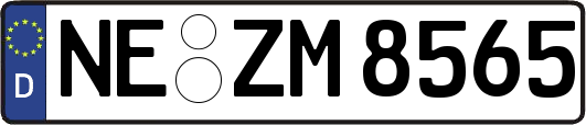 NE-ZM8565