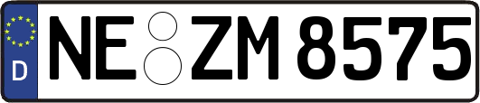 NE-ZM8575