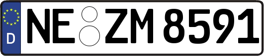 NE-ZM8591