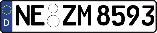 NE-ZM8593