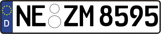 NE-ZM8595
