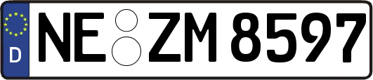 NE-ZM8597