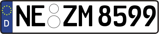 NE-ZM8599