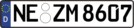 NE-ZM8607