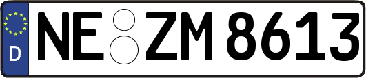 NE-ZM8613