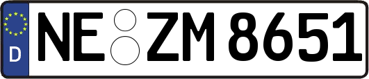 NE-ZM8651