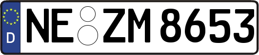 NE-ZM8653