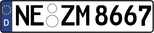 NE-ZM8667