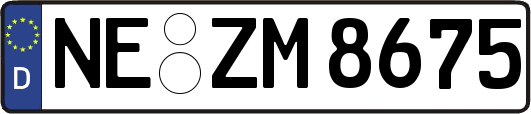 NE-ZM8675