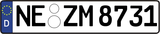 NE-ZM8731
