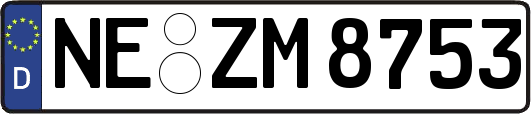 NE-ZM8753