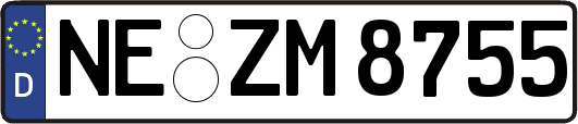 NE-ZM8755