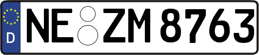 NE-ZM8763
