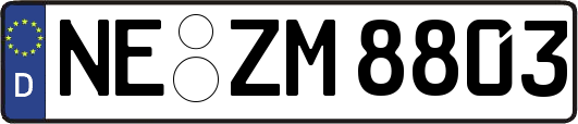 NE-ZM8803