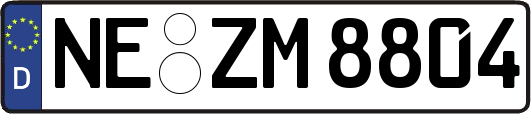 NE-ZM8804