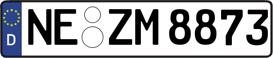 NE-ZM8873